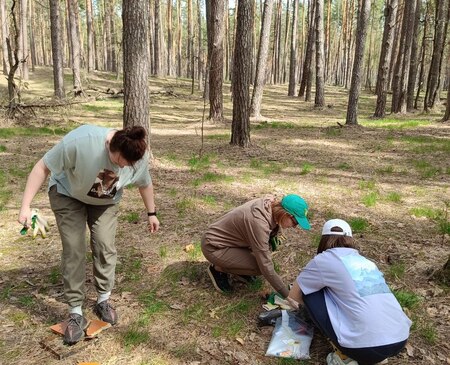 Рабочие группы карбонового полигона продолжают мониторинг лесных экосистем